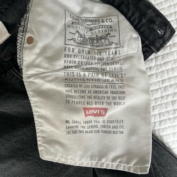 Levi - Picture 7 of 7